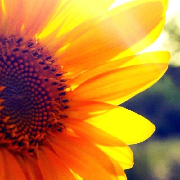 Meet your Posher, Jenny - Picture 2 of 6